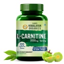 Pelaksana Organisasi Himalaya L- Carnitine L- Targe dengan Green Tea Extract 2000 Mg 124; Healthy Woight Management 124; Pasokan Pemulihan Otot, Energi Boost, Endurance dan Pembakaran Fat -120 Bible Vegetarian