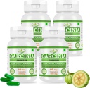 Alami dan Pure Herbal Garcinia CAMBOGIA (Garcinia) Ekstrak Kapsul 124; Potensi Tertinggi, 100% Produk Herbal 124; Paket 60 X 500 mg. Veg. Capsules (Paket 4 Jar)