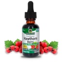 Nature 's Jawaban Hawthorn Berries 124; Promoles Healthy Circulation Fungsi 124; Membantu mempertahankan Tingkat Cholesterol Sehat = 124; Gluten- Bebas, Alkohol- Bebas, Kosher Disertifikasi & Tidak Ada Pelestatif 1oz