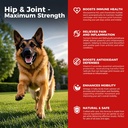 Dog Hip and Joint Suit Relief Anti Inflammatory with Glucosamine, Chondroitin, MSM, Turmeric, Vitamin E, Omega 3 - Treats Hip Dysplasia, Arthritis - All Large Small Medium Breed