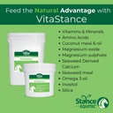 Stance Equitec VitaStance Vitamin, Mineral dan Amino Acid Suplemen untuk Kuda, 28,5 lb