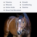 Mega- Mag (25lb) Batasi Multi Vitamin / Mineral Tambahan untuk Diet Alfalfa Hay
