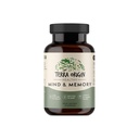 TERRA ORIGIN Heally Mind and Memory Support 126; Cognitive Memory Matrix 124; Nootropic CDP, Bacopa, L-Tyrosine, Huperzine A, Ginko, B12 124; Non GMO, Gluten Free, Dairy Free 124le, 30 Capsules