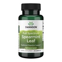 Swanson Spearmint Leaf (Mentha Spicata) - Full Spectrum Herbal Suplement Suplemen Kesehatan Digetical & Mild Stomach Issures - Natural Formula Supporting Health & Wellness - (60 Capsules, 400mg Setiap)
