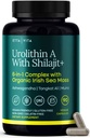 Urolity- Kompleks w Shilajit, Organik Laut Moss, Ashwagandha & Tongkat Ali, Natural Energy, Libido, Hormone Keseimbangan, dan Fokus untuk Pria & Perempuan (Dibuat di USA - 3 Partai Teruji)