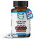 Boswellia Serrata 600mg 65 Boswellic Extract Support Joint Comfort, Flexibility & Mobility Natural Herbal Wellness Suplement Vegan, Non-GMO, Gluten-Free 90 Veg Capsules.