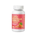 Super Boswellia Serrata dengan G-FOS - 98% Akid Boswellic - Mendukung Gabungan & Kesehatan Mobility - 180 Vegan Capsules, 180 Hari Suppply