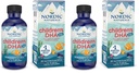 Nordic Comment 's DHA Xtra, Berry Punch - 2 oz for Kids - 880 mg Total Omega-3 dengan EPA & DHA - Kognitive & Imune Charction, Learning, Social Development