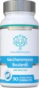 Saccharomyces Boulardii 5 Milyar CFU 90 Capsules - Tidak Perlu Recoperation - Kekuatan Tinggi Bukan-Colonising Yeast dengan sinergistic Olive Leaf, Biotin dan Vitamin D3