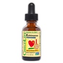 Anak-anak Echinacea Drops, Liquid Free Suplement for Baby, Toddlers, Children.