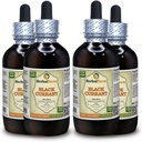 Black Currant (Ribes nigrum) Tincture, Dry Leaves Liquid Extract (Nama Merek: HerbalTerra, Proughtly Made in USA) 4x4 fl.oz (4x120 ml)