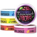 LyvWel 225mg Caffeine Energy Pouches 1124; Nootropic Focus & Neuro Duck £124; Tobacco-Free, Nicotine- Free, Quick Energy Solution 124; 5- Pack: 60 Pouches (5 Pack, Multi-Pack)