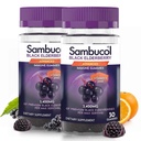 Sambucol Black Elderberry Gummies dengan Vitamin C & Zinc - Sambucus Elderberry Gummies untuk Dukungan Imune, Antioksidants Tinggi, Gluten Free, Vegan, Elderberry dengan Zinc & Vitamin C - 30 Hitung, 2 Pack