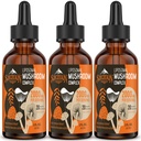 Kompleks Jamur Lipomal - Pengaruh 2000 MG - 20 Mushroom Organik Ekstraksi - Advanced Liquid Formula untuk Kebal, Kognitif dan Memori - Lions Mane Supplemen, Reishi, Cordyceps, Chaga, 90 Hamba