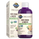 Garden of Life Organics Elderberry & Zinc untuk dukungan Imune Anak-anak, Anak-anak Batuk & Musus Immune Syrup dengan Ivy Leaf, Vitamin C dan Echinacea untuk Anak-anak, Alcohol- Free, Tidak Ditambahkan Sugars, 3.92 fl oz