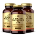 Solgar Calcium Magnesium Plus Zinc, 100 Tablet (Paket 3) - Promotes Healthy Bones and Teeth - Support Nerve & Muscle Fungsi - Non-GMO, Vegan, Gluten Free, Dairy Free, Kosher - 100 Total Pelayan