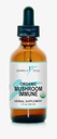 Mashroom Ammune Ammune Dukungan Organik 124; Comprehensive Imunity System Supplemen 2fl oz / 59ml Drops with Maximum Absorpsi & Bioavabilbility: 124; Vegan, Herbal 525mg per Serving Supply Bulan