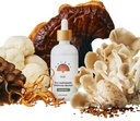 Rainbo - 11: 11 Multi Mushroom Pengikat - 11 -in-1 Bebas Alkohol - Dual Extract Mushroom Blend - Comprehensive Immune Dukungan, Dukungan Otak, Liquid Lion Mane & Turkey Tail, Vegan, Non GMO, 3.4 fl oz