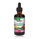 Nature 's Respon Organic Hawthorn Extract 2 Oz - Alkohol rendah, Gluten Free & Kosher - Dukungan Jantung - Ideal untuk Hawthorn Berry Tea