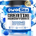 Creatine Monohydrate Gummies for Men & Women 5000mg Creatine Monohydrate per Serving for Muscle Dukung Energy Boost 120 Count Chewable 5g Creatine Suppplemen Sugar Free Vegan (1 Pack, Blue Raspberry)