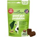 Probiotic Chews for Dogs Gut Health 124; Tasty Pre and Progetic for Dogs Digetical Health with Pumpkin Dog Propoles and Digetical Enzymes 124; NASC Cerated & Made The USA 124; 60 Chews