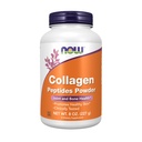 Sekarang Suplemen Makanan, Bubuk Peptida Collagen, Diuji secara klinis, Gabungan dan Kesehatan Tulang *, 8- Ounce