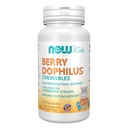 Now Foods Suplemen, BerryDophilus ™ with 2 billion, 10 Prototic Strains, Xylitol Sweetened, Strain Verified, 60 Chewables, packing mungkin bervariasi