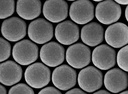 Colloidal Polystyrene Beads (Carboxylated; 900 nm, 50 mg/ml, 10 ml)