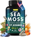 Sea Moss Capsule Complex with Sea Moss, Black Seed Oil, Aşhwagandha, Ginger & Vitamin C, D3-120 Capsules, Superfood Suplemen - Advanced Seamoss Pills, Wild Sea Moss Pills, Made USA