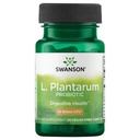 Swanson L. Plantatum - Digetical Suplemen Memproyeksikan Keseimbangan Gastrointestinal & Isi Roti - Formula Alam untuk Membantu Mengurangi Bloating - (30 Veggie Capsules)