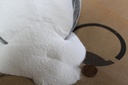 Zinc Sulfate Monohydrate - 35.5% Zn - 99% Murni - 5 Pounds