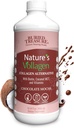 Vollagen Alam Terkubur - 2000mg Vollagen Kompleks, Skin, Rambut, dan Gabungan Kesehatan, 100% Pembangkit berbasis, Gluten- Bebas, Soy- Bebas, Gratis, Coklat Mocha Flavor, 16oz Liquid