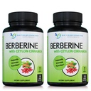 Berbersin dengan Cinnamon Ceylon - 1200mg Berberine & 100mg Cinnamon Organik Ceylon - 120 Gravgie Capsules, Heallically System Kardiovaskular Heart & Gastrointestinal Wellness (Paket 2)