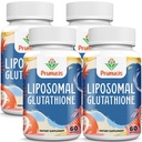 2400MG Lipomal Glutathione, dengan Vitamin C, Milk Thistle & Alpha- Lipoic Acid, Master Antioxidants, Pure Reduced L- Glutathione - Sistem kekebalan sel, Perbaikan, Energi, Absorpsi Tinggi, 240 Softgeels