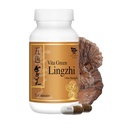 Vita Green Lingzhi Mushroom Kapsules for Energy, Memory, and Imune Support-Reishi Suplemen Murni dengan Antioksidan Alam untuk Wellness and Energy - 72 Kapsul