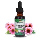 Nature 's Respon Echinacea Free Extract 1 Fluid Ounce 124; Promotes Overall Wellness 124; Natural Immune Booster 124; Inflamatory Reducer