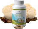 Mulhroom Science Lions Mane Mushroom Kapsul, Dukungan Memory & Konsentrasi, Ekstrak Spectrum Penuh, Suplemen Jamur untuk Dewasa, Air Panas Terekstrak Jamur, Vegetarian, 300MG, 90 ct