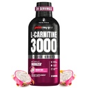 Propports L-Carnitine Liquid 3000, Stimulant-Free Liquid Shots for Men & Women - Clean Workout Drink for Energy, Performance & Muscle Recovery - No Sugar, No Sugar, No Carbs - 31 Servings, Dragon Fruit