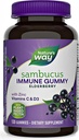 Natures + Way Sambucus Elderberry Gummies, dengan Vitamin C, Vitamin D dan Zinc, Hammune Dukungan untuk Anak-anak dan Dewasa, 120 Gummi