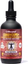 Life Cykel Cordyceps Mushroom Extract dengan Kakadu Plum - Energy, Stamina & Vitalitas Dukungan, Persediaan Penuaan Alam - Non-GMO dan Tegan - 4Fl Oz