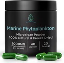 Marine Phytoplankton Capsules by Holistic Bin 124; Alamic Grown in Nordic Seawater 12.4; Vegan Omega 3 Suplemen: Kaya dalam Acids Amino, Chlorophyll, Vitamin, & Telusuri Mineral