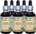 Black Currant (Ribes nigrum) Tincture, Dry Leaves Liquid Extract (Nama Merek: HerbalTerra, Proughtly Made in USA) 5x2 fl.oz (5x60 ml)