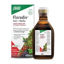 Floradix Iron & Herbs - Iquid Herbal Suplemen Energi - Iron Suplemen dengan Vitamin C & Vitamin B Kompleks - untuk Men & Women - 8.5 fl oz