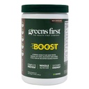 Hijau Pertama Boost - Tanaman-Based Protein & Balanced Nutition - Superfood Shake Mix - No Wheat atau Soy-Free - Vegan - Dutch Chocolate, 12.28 oz.