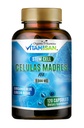 Celulas Madres AFA Stem Natural Cell 120 capsules 1000 mg Blue Green Algae Non GMO Gluten Free Aphananizomenon Flos- aquae cellula Madre Suplement