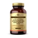 Solgar Glucosamin Hyaluronic Acid Chondroitin MSM (Shellfish-Free), 60 Tablet - Gabungan Dukungan & Comfort - Dukungan Gaya Hidup Aktif - Non-GMO, Gluten Free, Dairy Free - 20 Pelayan