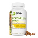 Jiva Botanicals Boswellia Extract Capsules 700mg per Serving - Boswellia Serrata Extract & Black Pepper - Tambahan Dukungan Bersama untuk Kesehatan Bersama Normal - 120 Capsules (Paket 1)