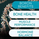 Boron Mineral Suplemen - 30mg 124; 60 Count 124; Trace Minetrace Tubuh Anda perlu mempertahankan Kesehatan Optimal dan Wellness.