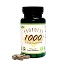 Propolis GREENBOW 1000mg _ NonGMO Dibuat dengan organik Propolis _ 60 Capsules _ VEGAN CAPSULES