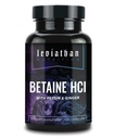 Leviathan Betaine HCI dengan Pepsin & Ginger - Digeptical Enzymes Suplement for Ditraffic Aid & Duption